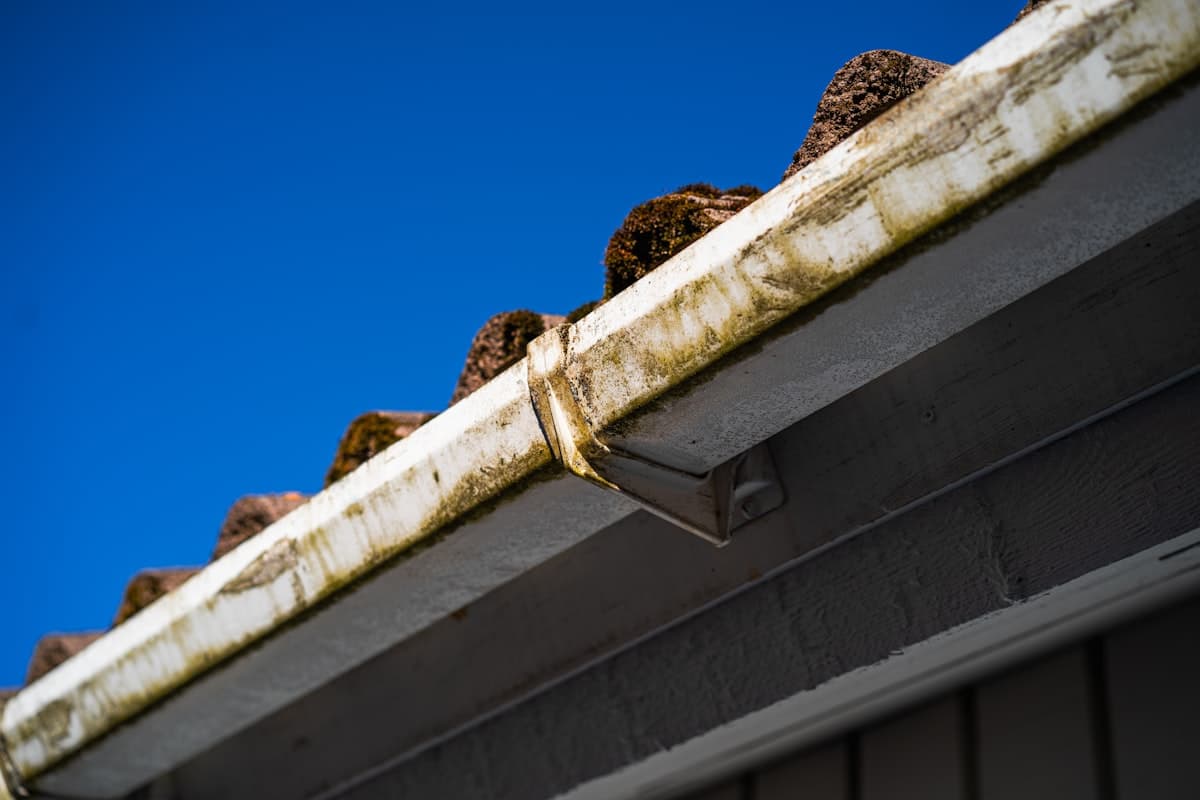 A gutter blocked with moss and leaves against a blue sky